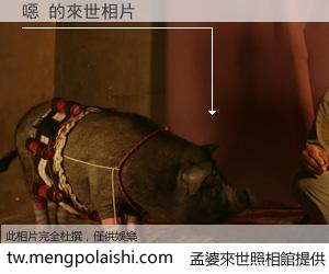 噁 來世的未來相片