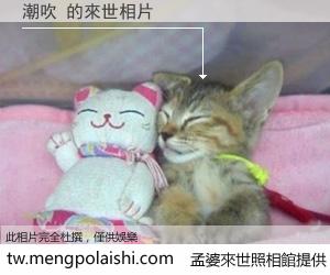 潮吹 來世的未來相片