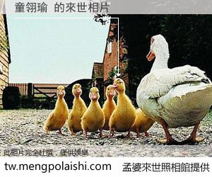 童翎瑜 來世的未來相片