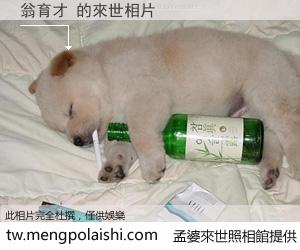 翁育才 來世的未來相片