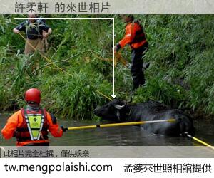 許柔軒 來世的未來相片