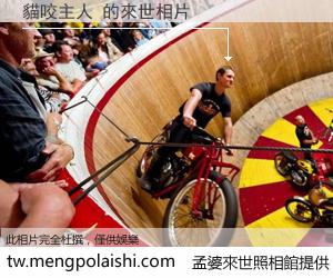 貓咬主人 來世的未來相片