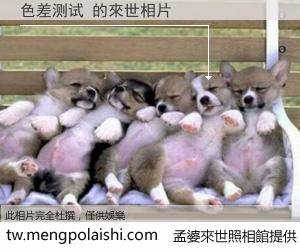 色差测试 來世的未來相片