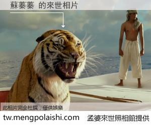 蘇蓁蓁 來世的未來相片