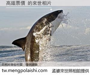 高鐵票價 來世的未來相片