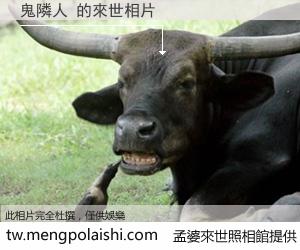 鬼隣人 來世的未來相片