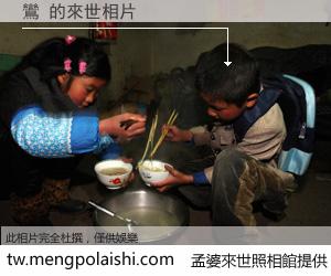 鸞 來世的未來相片