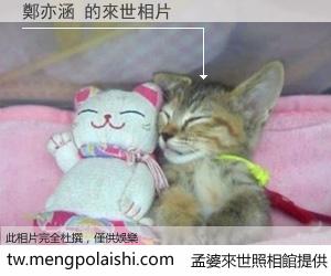 鄭亦涵 來世的未來相片