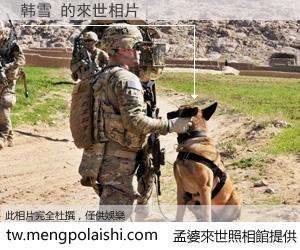 韩雪 來世的未來相片