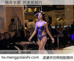 陽昇学園 來世的未來相片