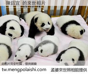 陳鈺宜 來世的未來相片