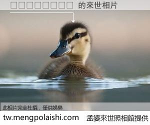 🇩🇪 來世的未來相片