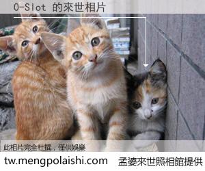 0-Slot 來世的未來相片