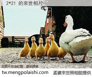 2*21 來世的未來相片