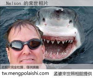 Nelson 來世的未來相片