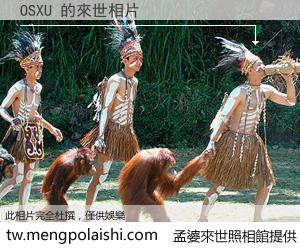 OSXU 來世的未來相片