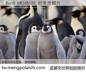 BenQ GW2486TC 來世的未來相片