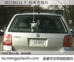 DECIBELLE F 來世的未來相片