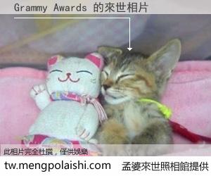 Grammy Awards 來世的未來相片