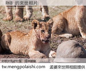 RKB 來世的未來相片