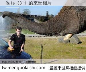 Rule 33 1 來世的未來相片