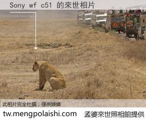 Sony wf c51 來世的未來相片