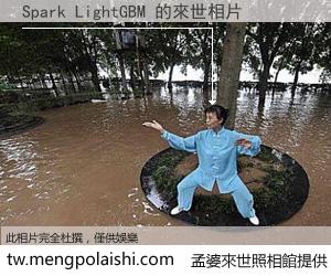 Spark LightGBM 來世的未來相片