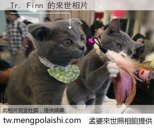 Tr. Finn 來世的未來相片