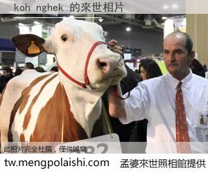 koh nghek 來世的未來相片