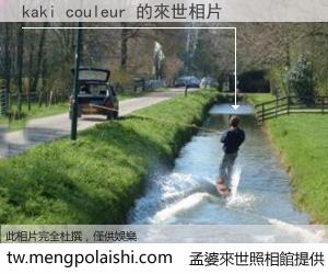 kaki couleur 來世的未來相片