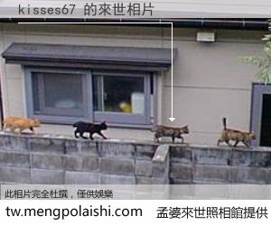 kisses67 來世的未來相片