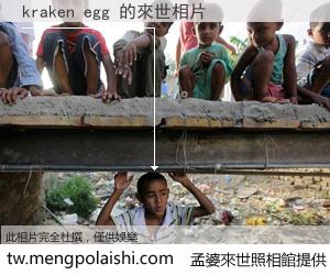 kraken egg 來世的未來相片