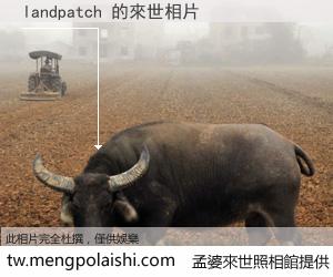 landpatch 來世的未來相片