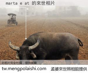 marta e at 來世的未來相片