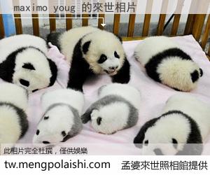 maximo youg 來世的未來相片