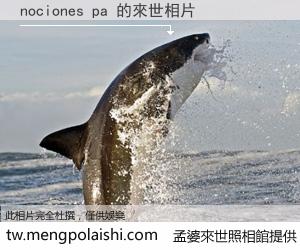 nociones pa 來世的未來相片