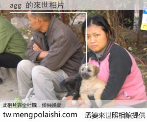 agg 來世的未來相片