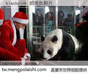 blackpink 來世的未來相片