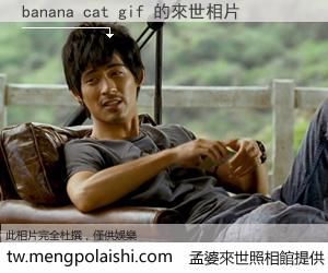 banana cat gif 來世的未來相片
