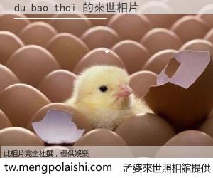 du bao thoi 來世的未來相片