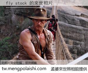 fly stock 來世的未來相片