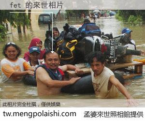 fet 來世的未來相片