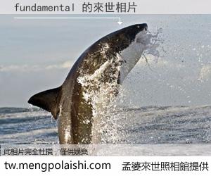 fundamental 來世的未來相片