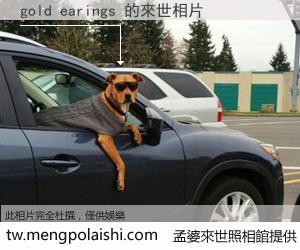 gold earings 來世的未來相片