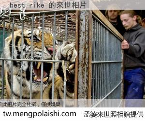 hest rike 來世的未來相片