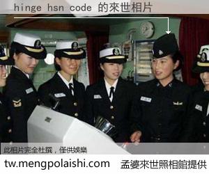 hinge hsn code 來世的未來相片