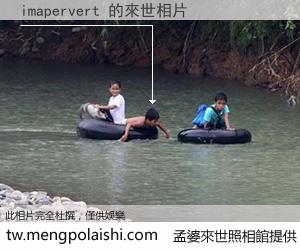 imapervert 來世的未來相片