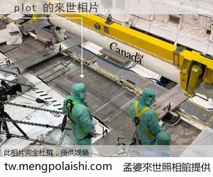 plot 來世的未來相片