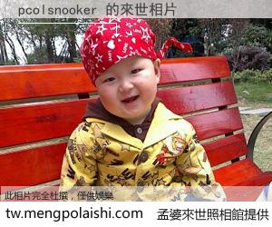 pcolsnooker 來世的未來相片