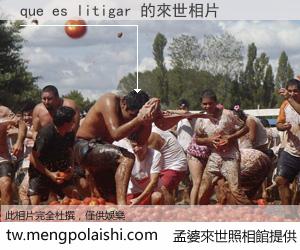 que es litigar 來世的未來相片